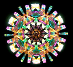 NW - Kaleidoscope - MOZART'S ROSES